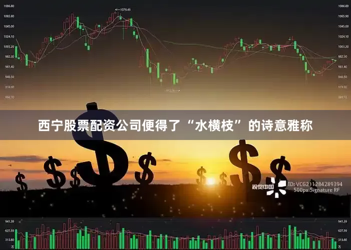 西宁股票配资公司便得了 “水横枝” 的诗意雅称