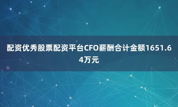 配资优秀股票配资平台CFO薪酬合计金额1651.64万元
