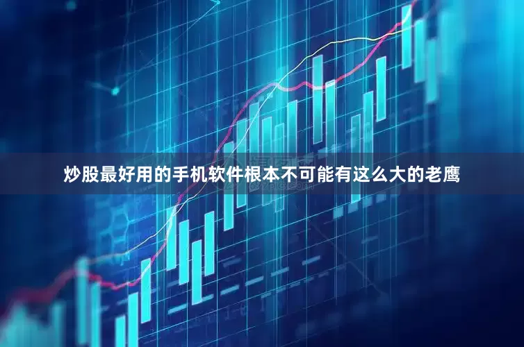 炒股最好用的手机软件根本不可能有这么大的老鹰