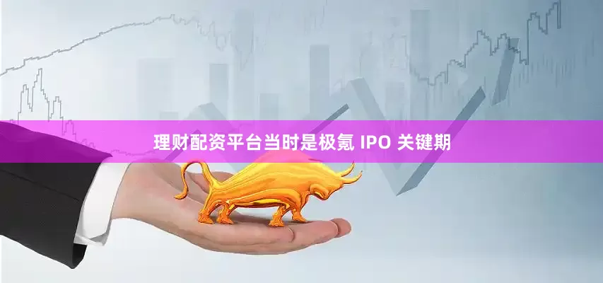 理财配资平台当时是极氪 IPO 关键期